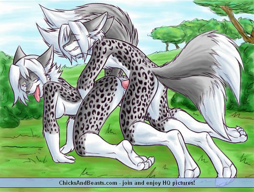 Cheating furry wives. Anime content - 4 pics.