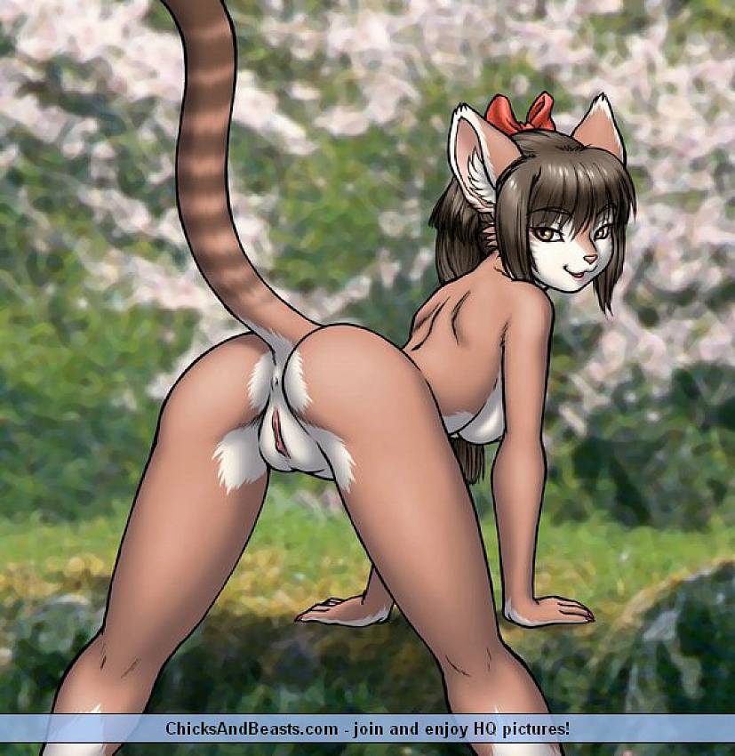 Anime Furries Porn - Japanese Furry Chicks are waiting for dicks. Anime content ...