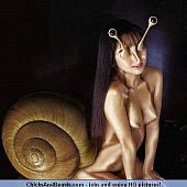 Cute oriental furries.