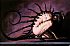 Gripping monster hotties pictures.